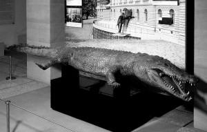 naturmuseum1