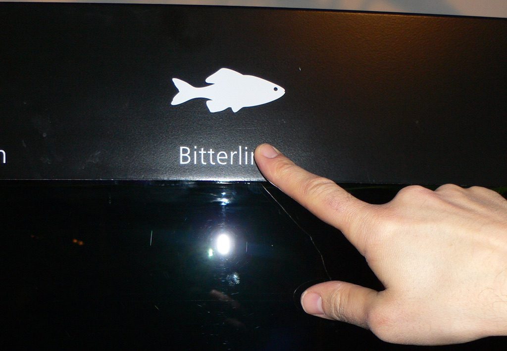 bitterli2