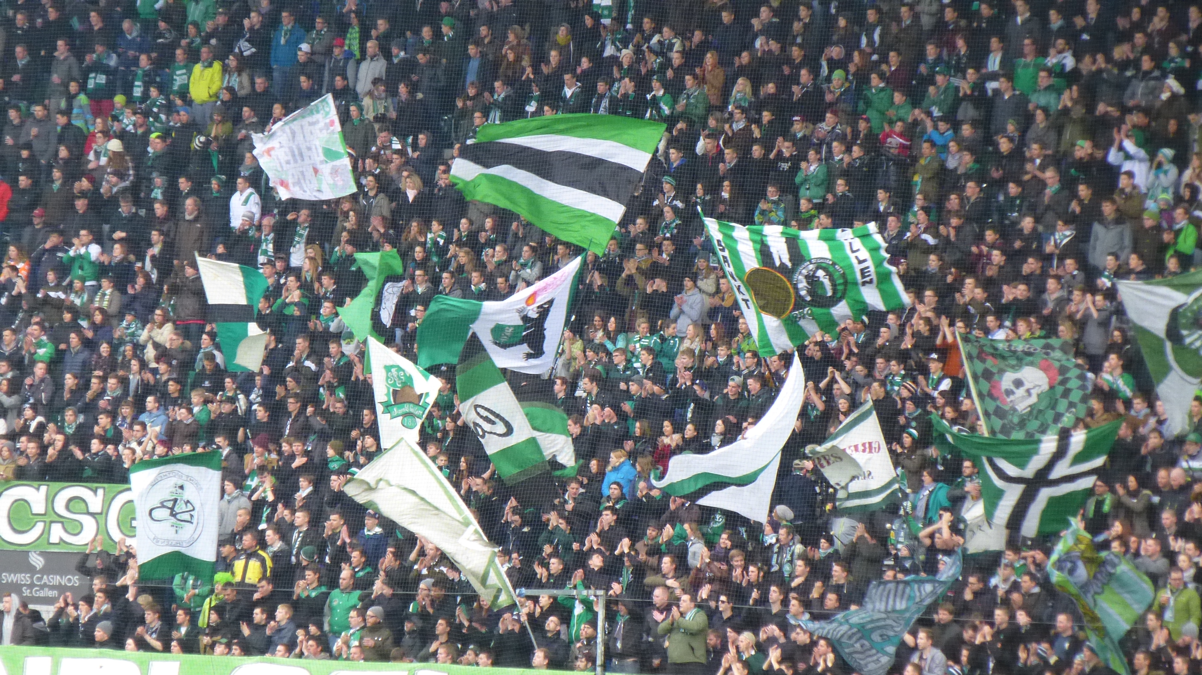 St Gallen Und Der Cup 45 Jahre Pech Und Unvermogen Saiten Ostschweizer Kulturmagazin Und Veranstaltungskalender